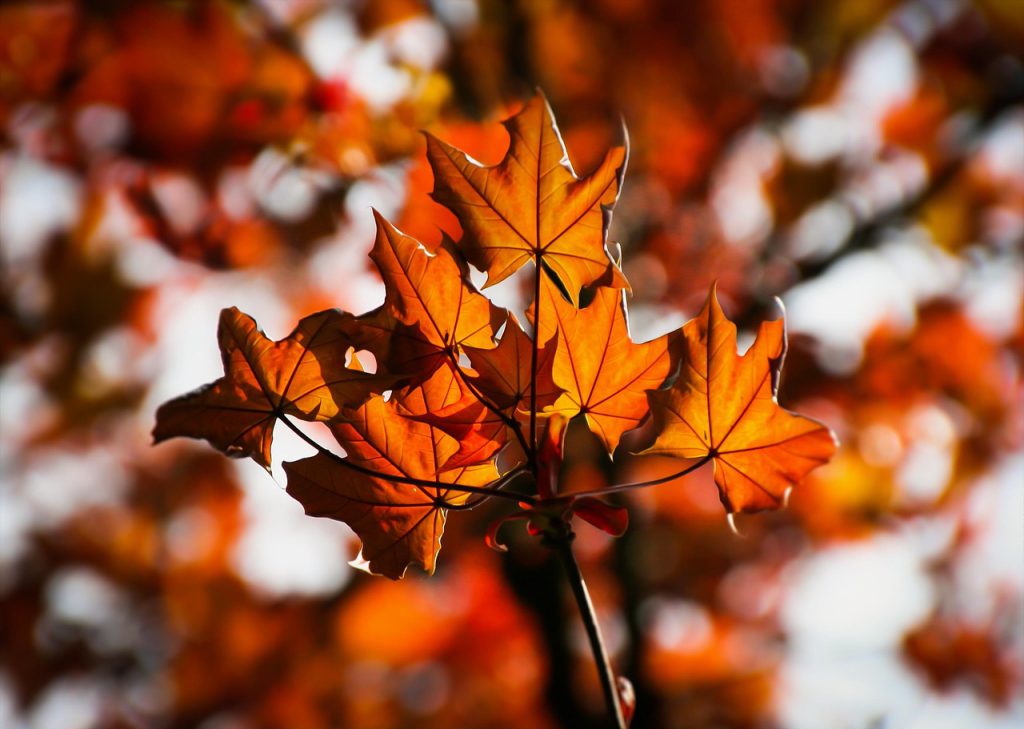 yoga solstizio d'autunno