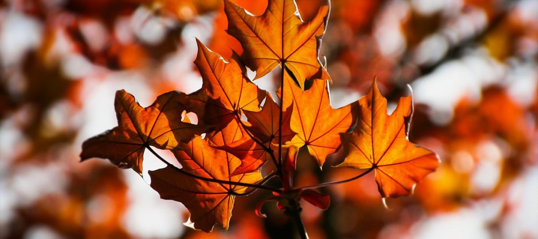 yoga solstizio d'autunno
